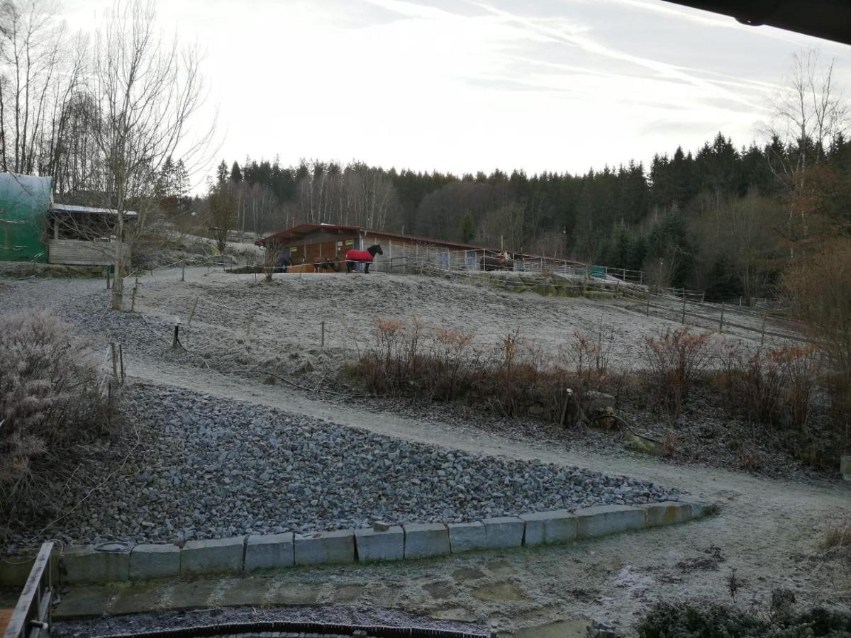 Appartmenthaus Kern Aigen im Mühlkreis Exterior foto